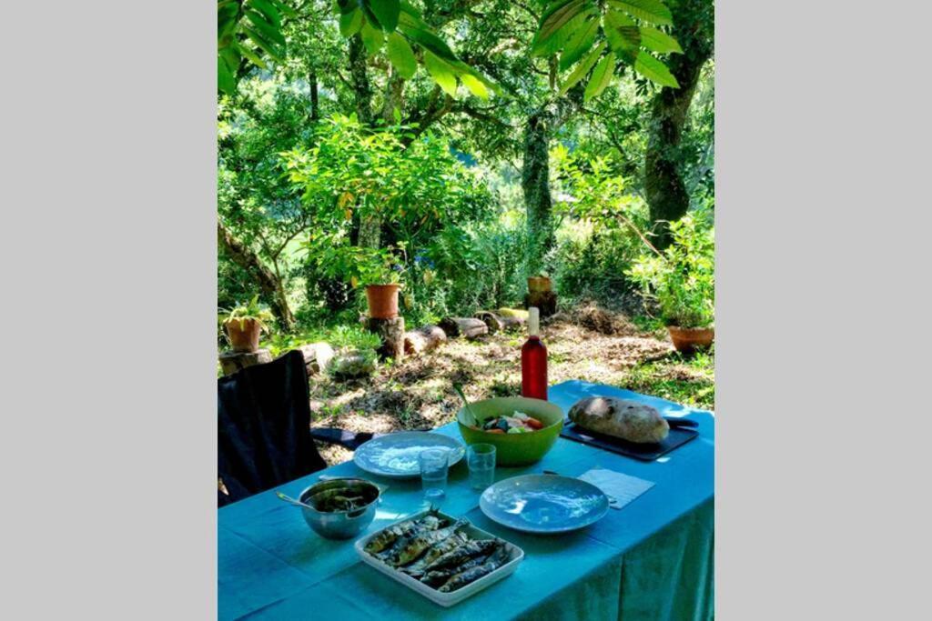 Quinta Biologica, Com Vista, Na Serra De Sintra Exteriör bild