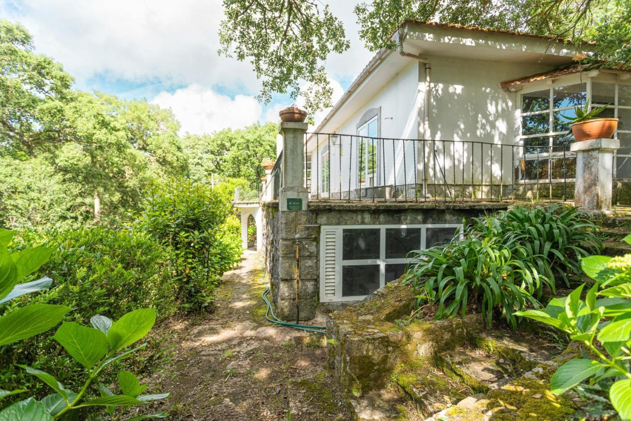 Quinta Biologica, Com Vista, Na Serra De Sintra Exteriör bild