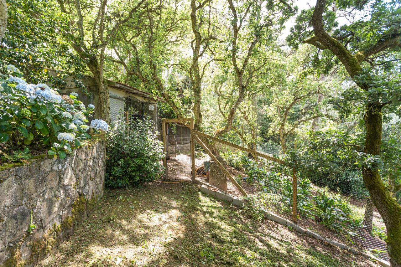Quinta Biologica, Com Vista, Na Serra De Sintra Exteriör bild
