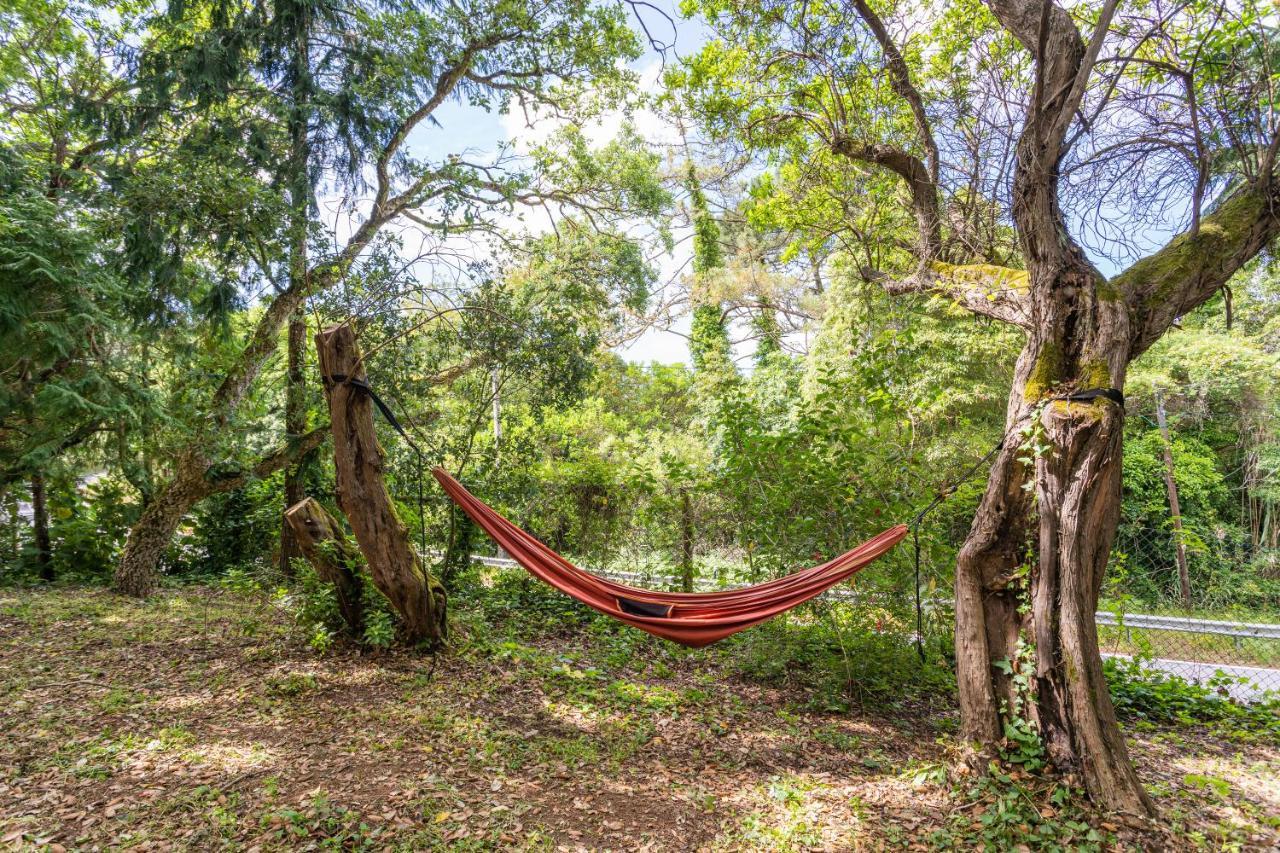 Quinta Biologica, Com Vista, Na Serra De Sintra Exteriör bild