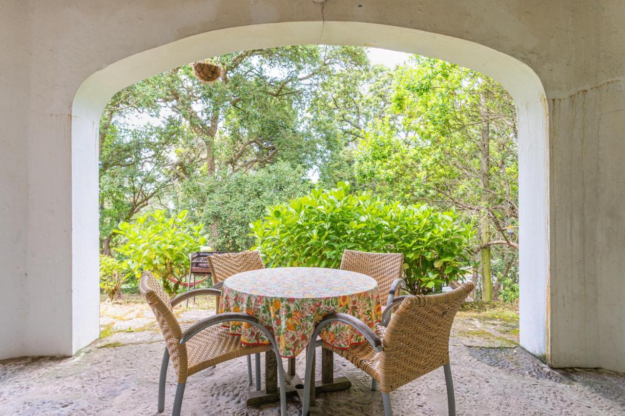Quinta Biologica, Com Vista, Na Serra De Sintra Exteriör bild