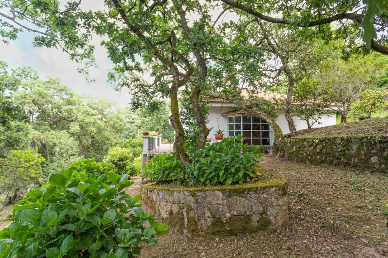 Quinta Biologica, Com Vista, Na Serra De Sintra Exteriör bild