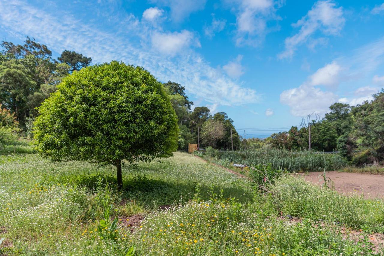 Quinta Biologica, Com Vista, Na Serra De Sintra Exteriör bild