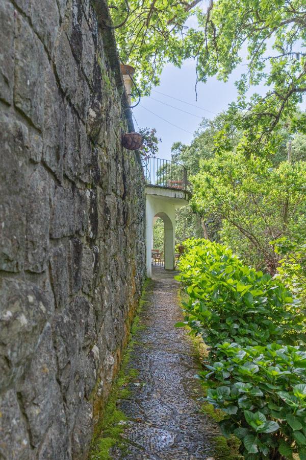 Quinta Biologica, Com Vista, Na Serra De Sintra Exteriör bild
